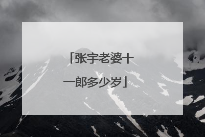 张宇老婆十一郎多少岁