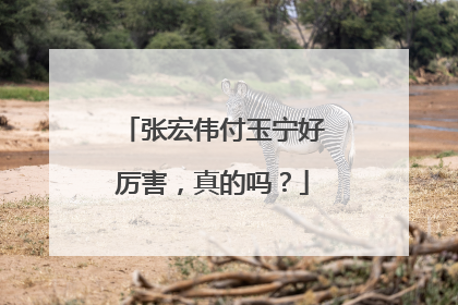 张宏伟付玉宁好厉害,真的吗?