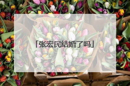 张宏民结婚了吗