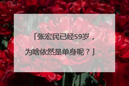 张宏民已经59岁,为啥依然是单身呢?