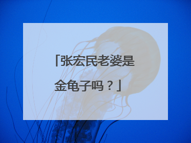 张宏民老婆是金龟子吗?