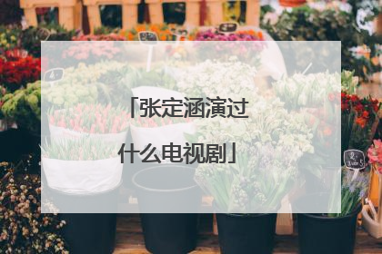 张定涵演过什么电视剧