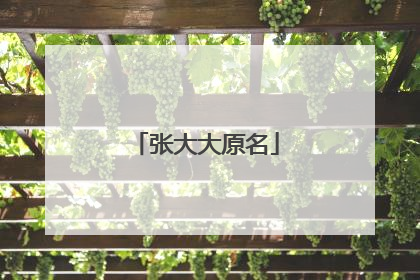 张大大原名
