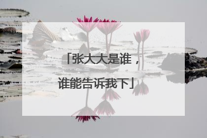 张大大是谁，谁能告诉我下