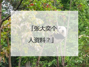 张大奕个人资料?