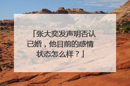 张大奕发声明否认已婚,他目前的感情状态怎么样?