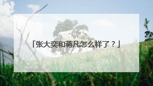 张大奕和蒋凡怎么样了？