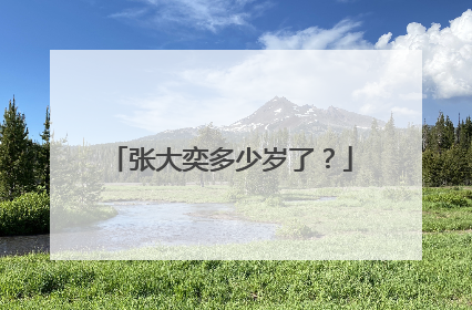 张大奕多少岁了？