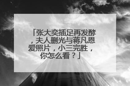 张大奕插足再发酵,夫人删光与蒋凡恩爱照片,小三完胜,你怎么看?