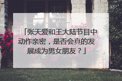 张天爱和王大陆节目中动作亲密,是否会真的发展成为男女朋友?