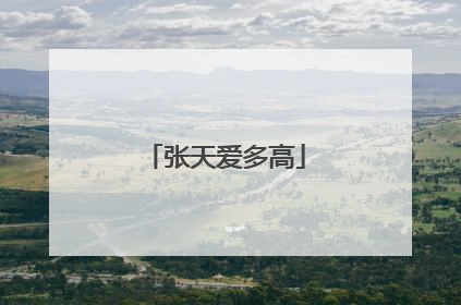 张天爱多高