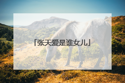 张天爱是谁女儿