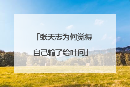 张天志为何觉得自己输了给叶问