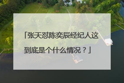 张天怼陈奕辰经纪人这到底是个什么情况?