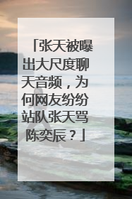 张天被曝出大尺度聊天音频，为何网友纷纷站队张天骂陈奕辰？