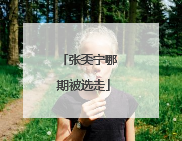 张奀宁哪期被选走