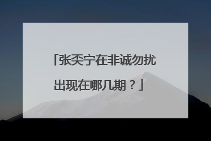 张奀宁在非诚勿扰出现在哪几期？