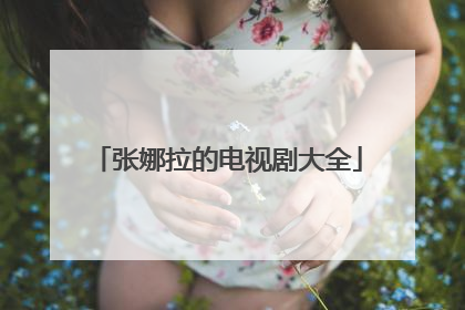 张娜拉的电视剧大全