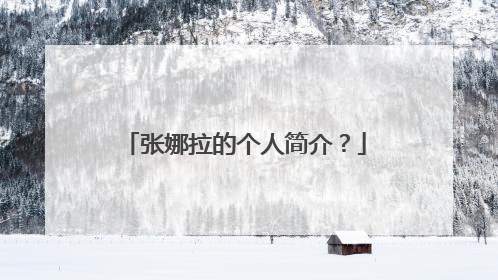 张娜拉的个人简介?