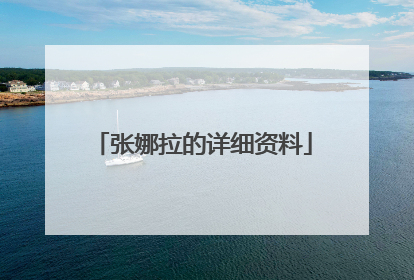 张娜拉的详细资料