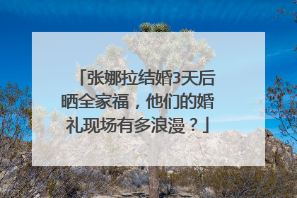 张娜拉结婚3天后晒全家福,他们的婚礼现场有多浪漫?