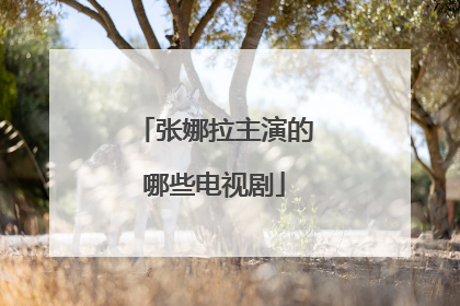 张娜拉主演的哪些电视剧