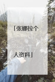 张娜拉个人资料