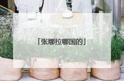 张娜拉哪国的
