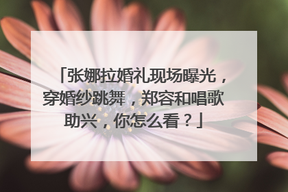 张娜拉婚礼现场曝光,穿婚纱跳舞,郑容和唱歌助兴,你怎么看?