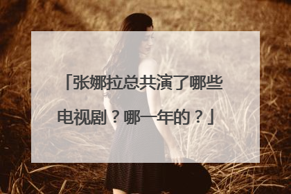 张娜拉总共演了哪些电视剧？哪一年的？