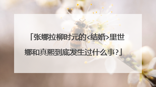张娜拉柳时元的<结婚>里世娜和真熙到底发生过什么事?