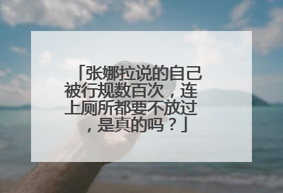 张娜拉说的自己被行规数百次,连上厕所都要不放过,是真的吗?