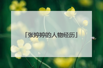 张婷婷的人物经历