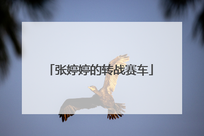 张婷婷的转战赛车