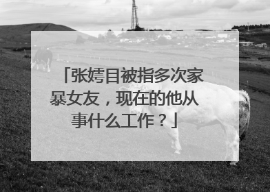 张嫮目被指多次家暴女友,现在的他从事什么工作?