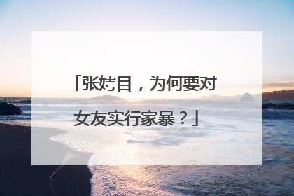 张嫮目,为何要对女友实行家暴?