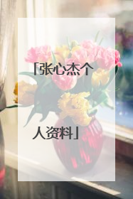 张心杰个人资料