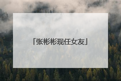 张彬彬现任女友