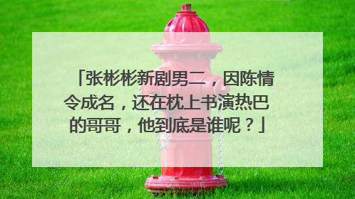 张彬彬新剧男二,因陈情令成名,还在枕上书演热巴的哥哥,他到底是谁呢?