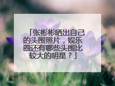 张彬彬晒出自己的头围照片，娱乐圈还有哪些头围比较大的明星？