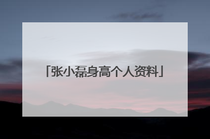 张小磊身高个人资料