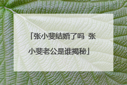 张小斐结婚了吗 张小斐老公是谁揭秘