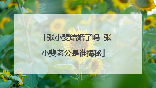 张小斐结婚了吗 张小斐老公是谁揭秘