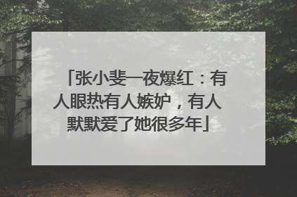 张小斐一夜爆红：有人眼热有人嫉妒，有人默默爱了她很多年