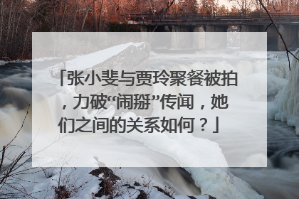 张小斐与贾玲聚餐被拍，力破“闹掰”传闻，她们之间的关系如何？