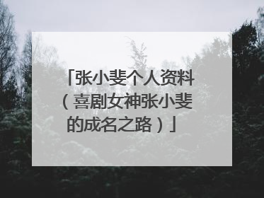 张小斐个人资料（喜剧女神张小斐的成名之路）