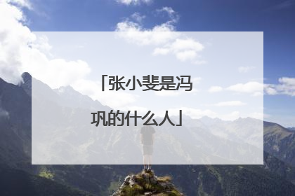 张小斐是冯巩的什么人