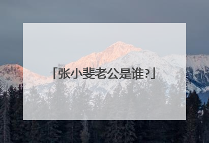 张小斐老公是谁?