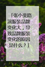 张小斐路演服装品牌变化大,导致品牌服装变化的原因是什么?