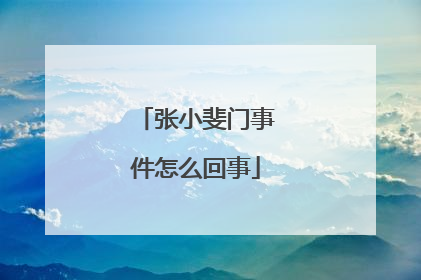 张小斐门事件怎么回事